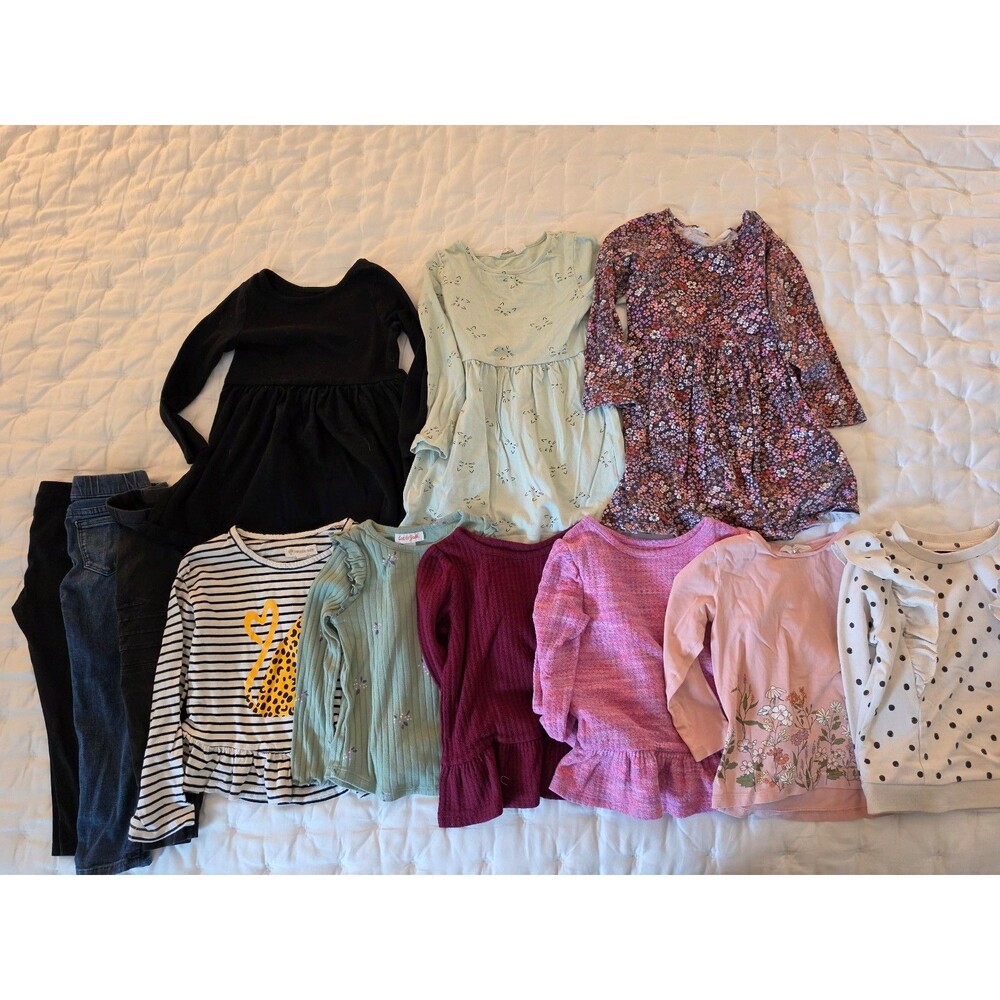 Toddler Girls winter lot (12 items ) long sleeve tops, dresses and pants 3T